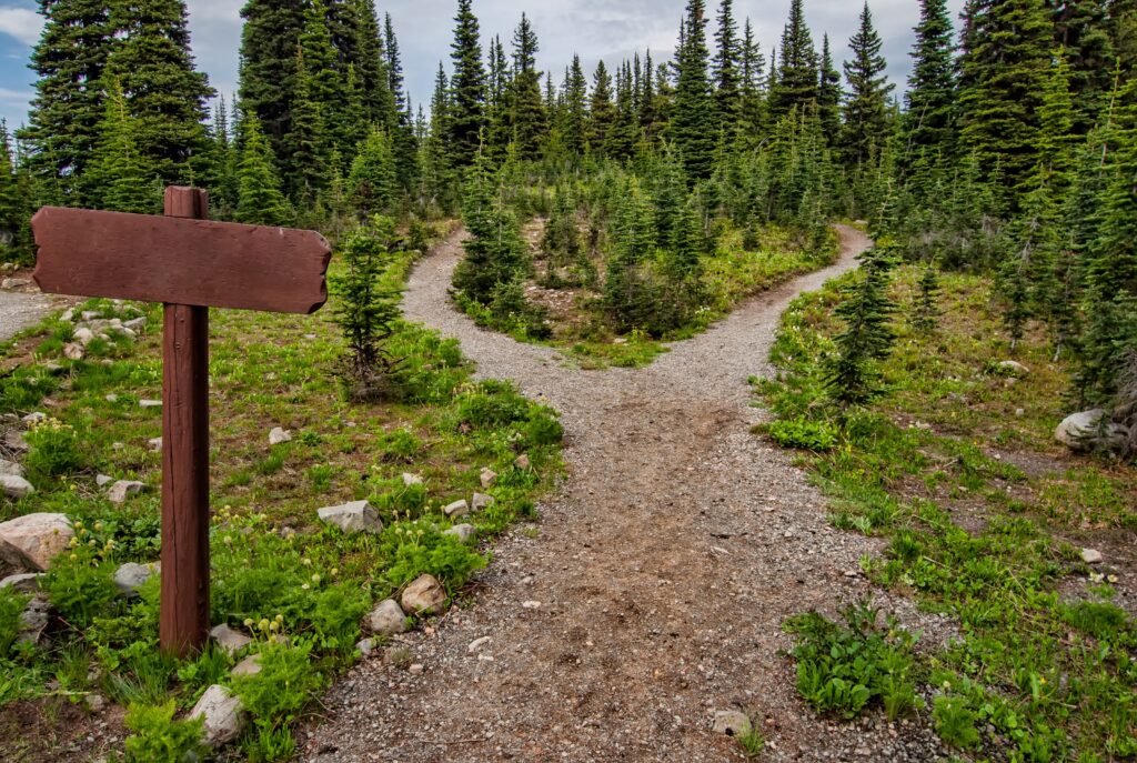 a woodedpath